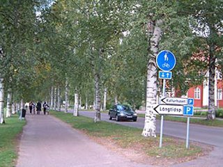 画像/スウェーデンの街路樹