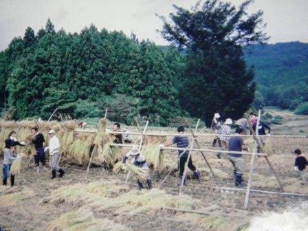 小屋沢集落で実施の稲刈り体験の様子