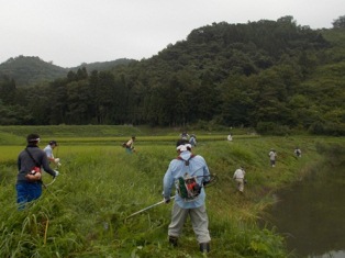 ため池周辺の草刈り作業の写真（横町集落）