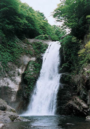 秋保大滝の写真