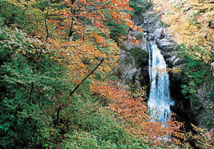 秋の秋保大滝の写真