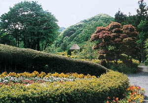秋保大滝植物園庭園の写真