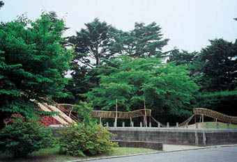宮城県中央児童館の遊具と周りの自然林