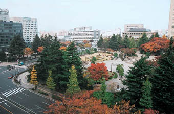 紅葉の勾当台公園の写真