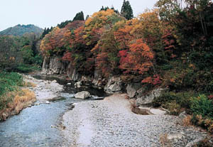 羽山橋付近の写真