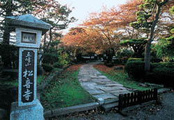 紅葉の松音寺の写真