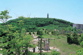 公園から望む寺岡山