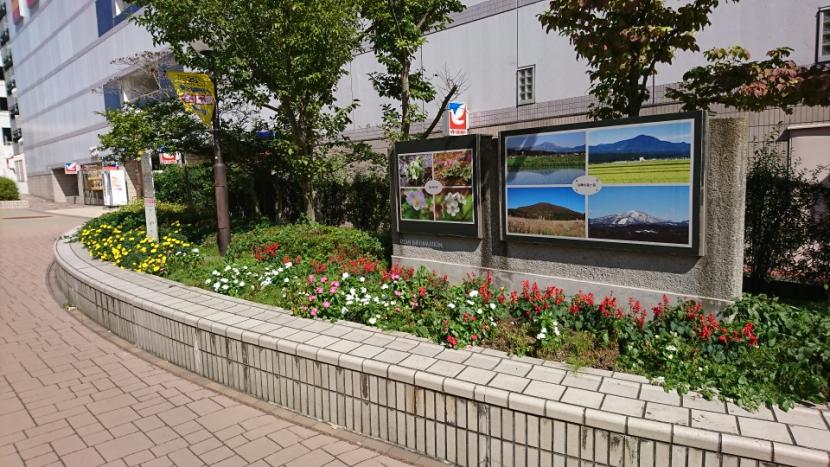 泉中央駅ペデストリアンデッキの花壇写真