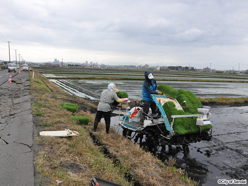 画像：水路の復旧が完了した水田から順次、田植えを再開