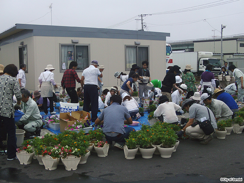 画像：仙台港背後地6号公園仮設住宅で行われた緑化イベント