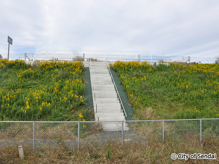 画像：仙台東部道路へ避難する階段を新設