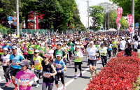 写真：今年で26回目となる仙台国際ハーフマラソン大会。1万人を超える市民ランナーが新緑の杜の都を駆け抜けます