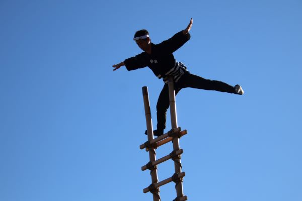 はしご乗り演技披露