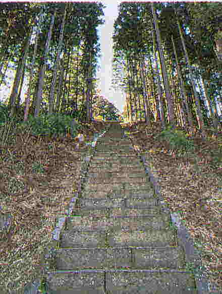 大年寺山の階段の写真