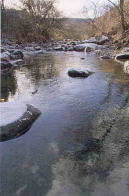 支倉川の写真