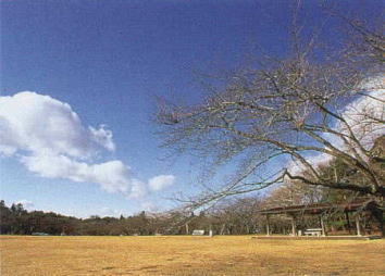 三神峯公園の写真
