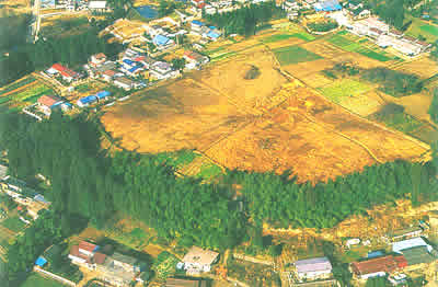 上空から見た山田上ノ台遺跡調査区全景の写真