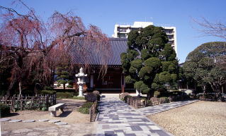 林松寺の写真