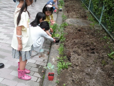 植物を植える子どもたちの写真