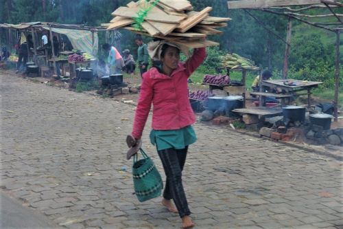 園長ブログ　マダガスカル訪問記15　薪を運ぶ女性
