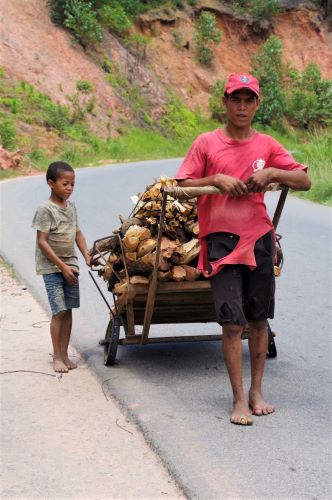 園長ブログ　マダガスカル訪問記15　薪を運ぶ親子