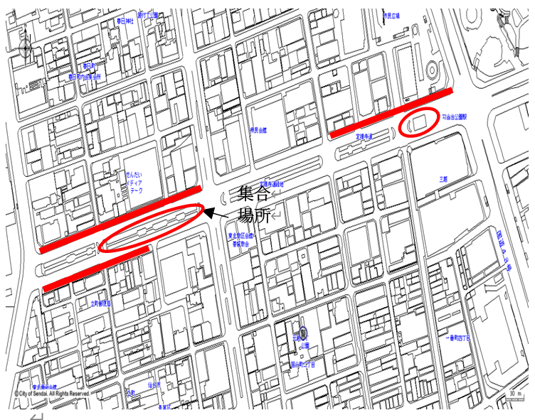 定禅寺通り実施場所
