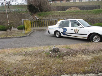 車庫入れを練習する様子