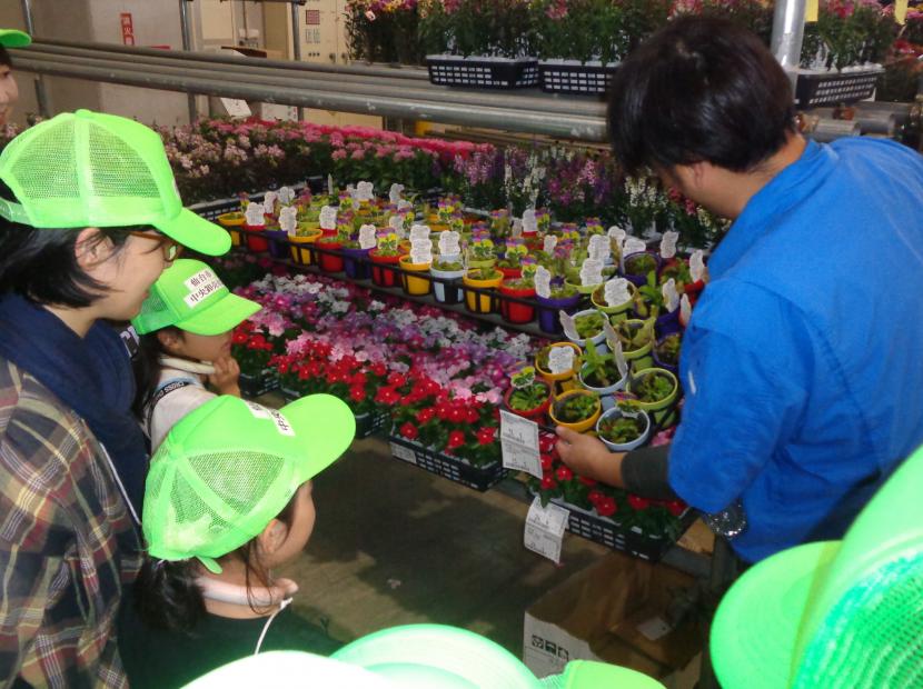卸売場での説明
