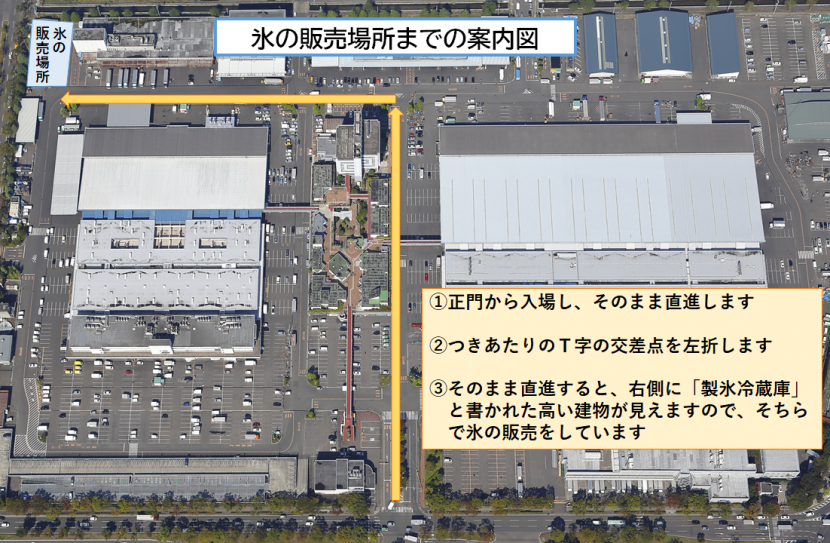 annaizu