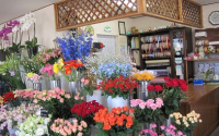 画像：結城生花店の店舗内観