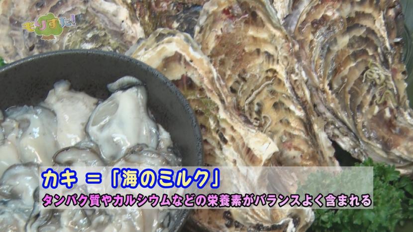 「海のミルク」とよばれる「カキ」は栄養豊富