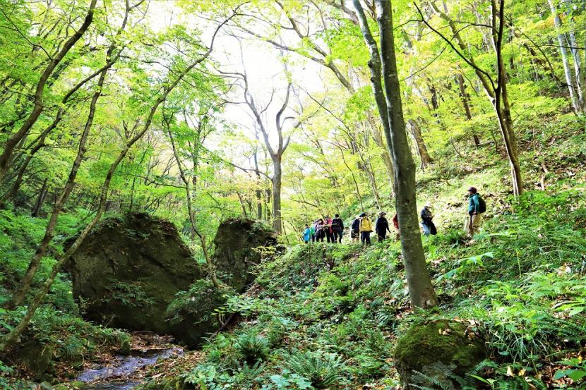 作並温泉の散策路