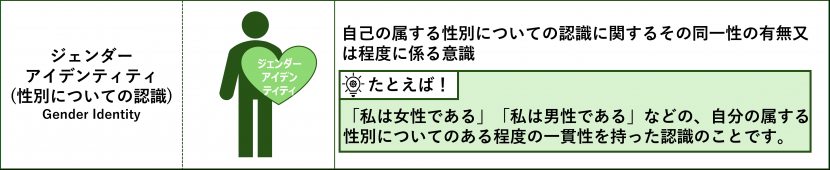 ジェンダーアイデンティティ(性別についての認識)自己の属する性別についての認識に関するその同一性の有無又は程度に係る意識。