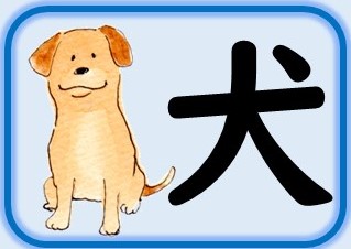 犬画像