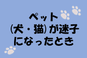 ペット迷子2