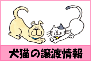 譲渡情報