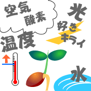 画像/芽が出る条件