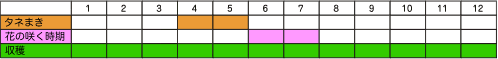 画像/タイムのたねまき、花の咲く時期、収穫時期一覧