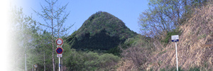 画像/5月の太白山