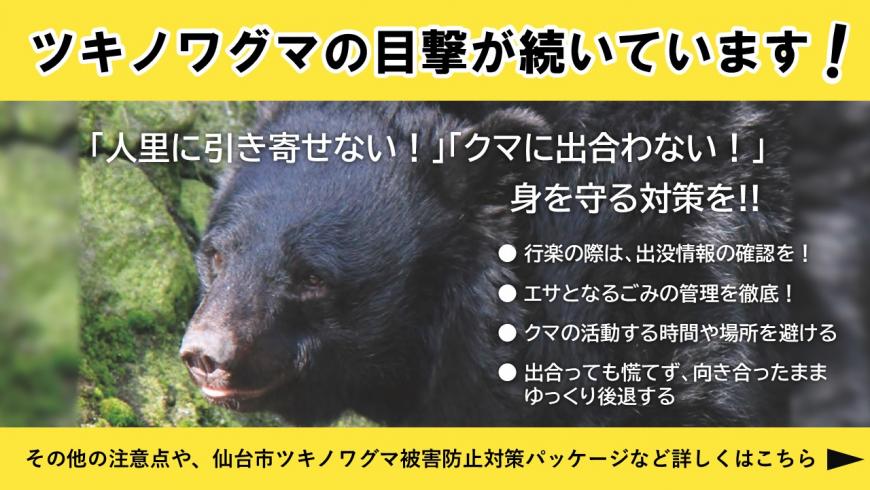 クマの目撃が続いています