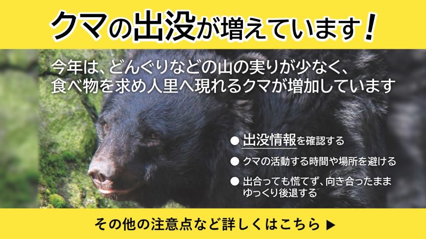 クマの出没が増えています