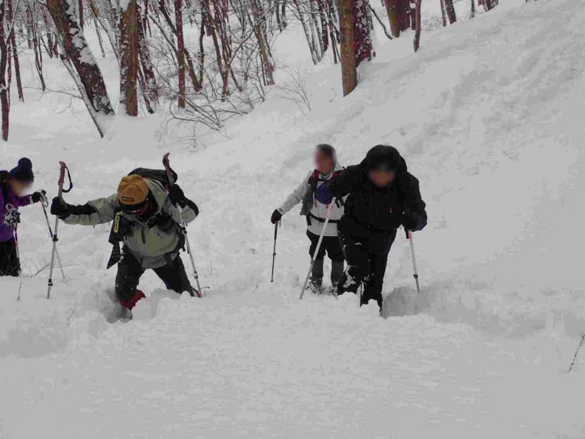スノーシューで積雪期の泉ヶ岳を散策している様子