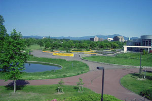 写真／七北田公園