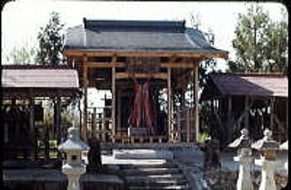 写真／住吉神社