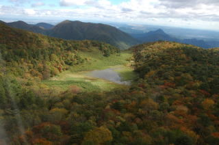 岡沼の写真