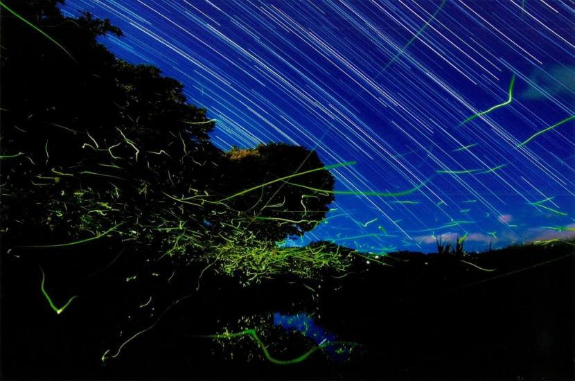 泉区写真コンクール　魅力部門　金賞作品