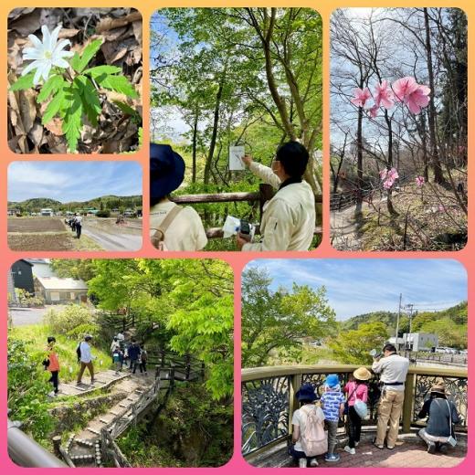 むかっちはかせと秋保の里で春の鳥と草花を観察しよう