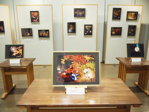磊々峡もみじのこみちライトアップフォトコンテスト入賞作品展