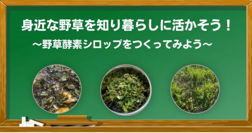 野草