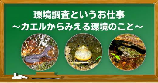 frog0905